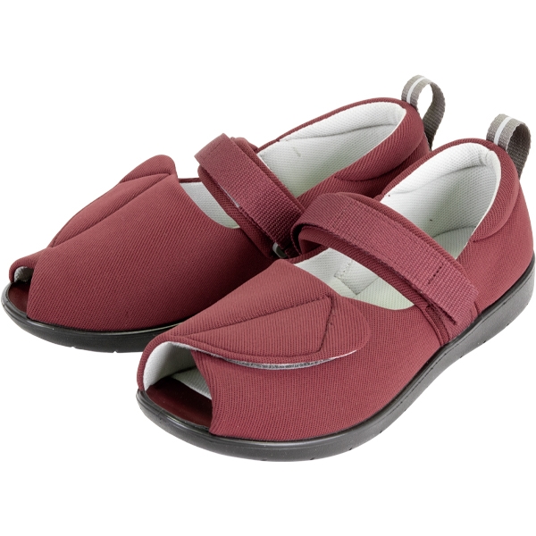 �]�тɂ����V���[�Y �ܐ�Ȃ� SS ���C��