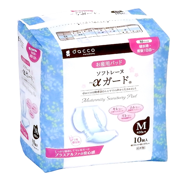 �\�t�g���[�k���K�[�h�l 10��