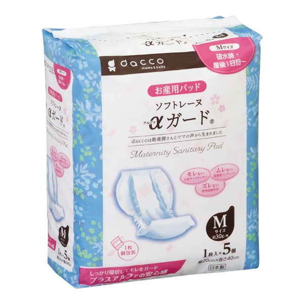 �\�t�g���[�k���K�[�h�l 5��